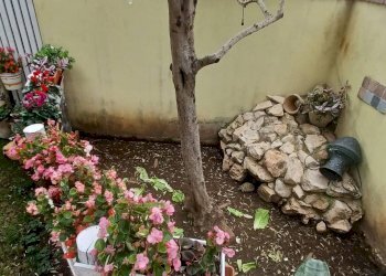 Foto 25 - Villa Via Fantacchiotto, Latina - foto 25