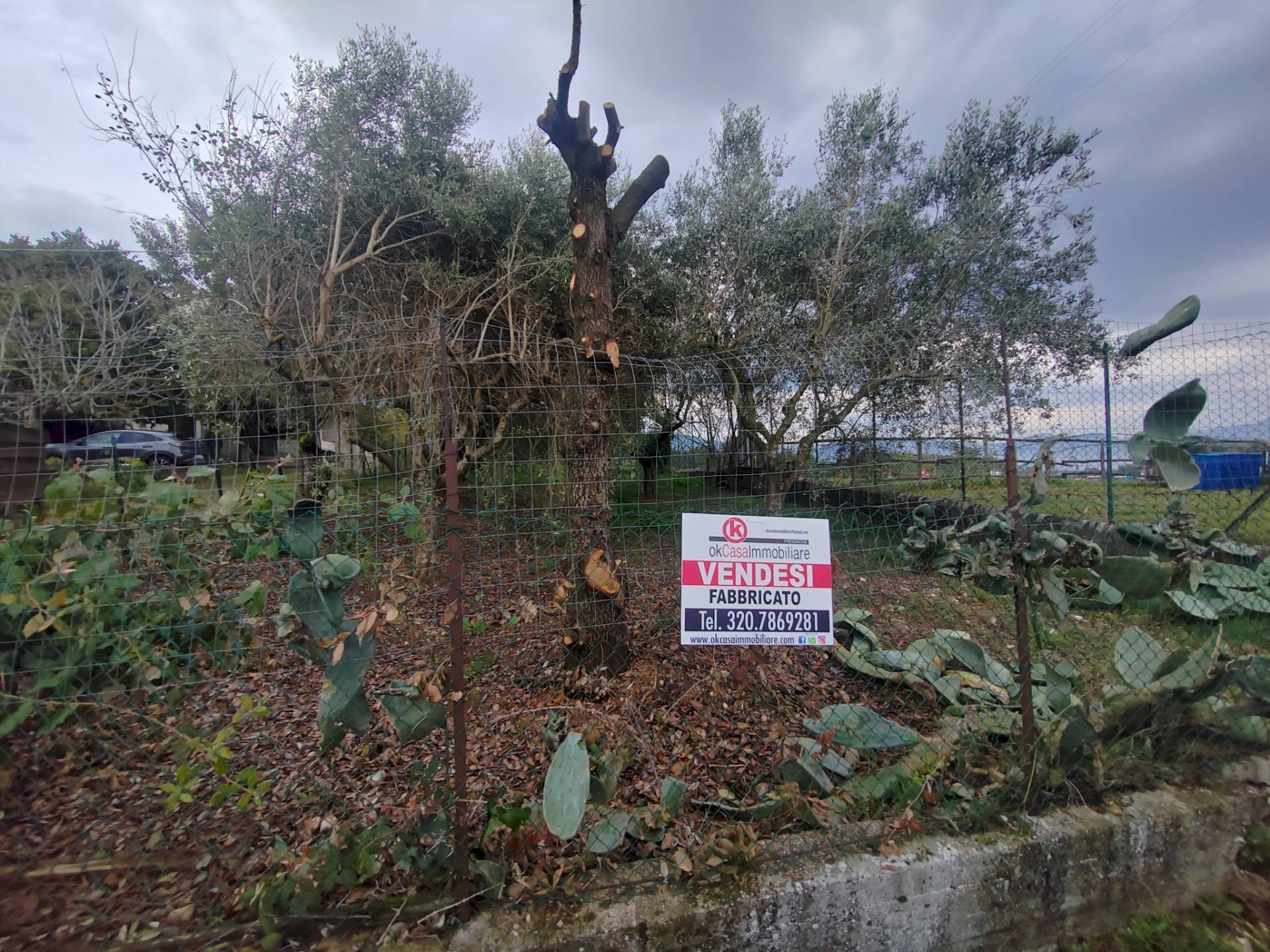 Foto 3 - Casa indipendente Via La Danna, Giuliano di Roma - foto 3