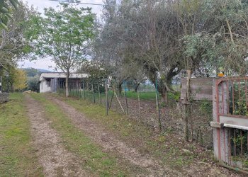 Foto 1 - Casa indipendente Via La Danna, Giuliano di Roma - foto 1