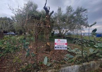 Foto 3 - Casa indipendente Via La Danna, Giuliano di Roma - foto 3