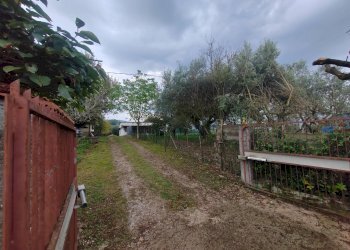 Foto 5 - Casa indipendente Via La Danna, Giuliano di Roma - foto 5