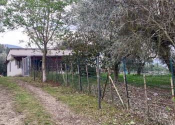 Foto 6 - Casa indipendente Via La Danna, Giuliano di Roma - foto 6