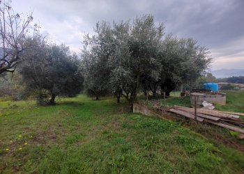 Foto 7 - Casa indipendente Via La Danna, Giuliano di Roma - foto 7