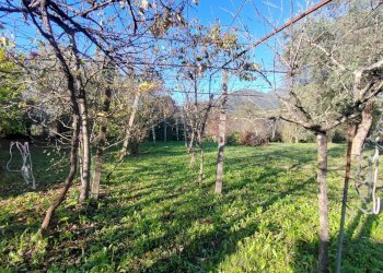 Foto 12 - Casa indipendente Via Ponte Pisello, Maenza - foto 12