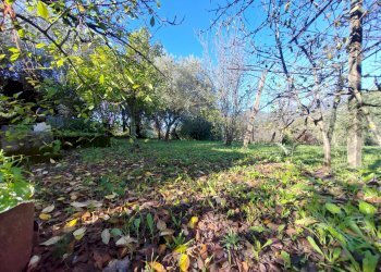 Foto 15 - Casa indipendente Via Ponte Pisello, Maenza - foto 15