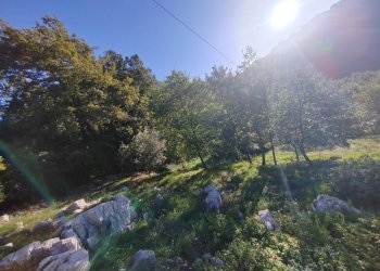 Foto 16 - Casa indipendente Via Ponte Pisello, Maenza - foto 16