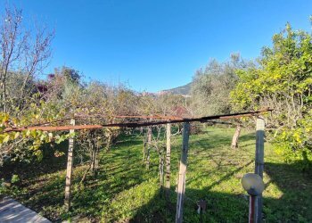 Foto 19 - Casa indipendente Via Ponte Pisello, Maenza - foto 19