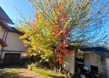 Foto 22 - Casa indipendente Via Ponte Pisello, Maenza - foto 22