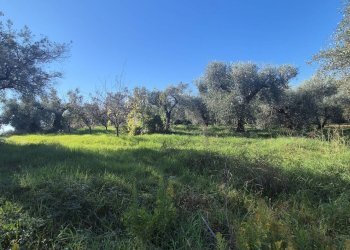 Foto 4 - Villa Via Piave, Fara in Sabina - photo 4