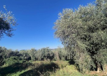 Foto 5 - Villa Via Piave, Fara in Sabina - photo 5