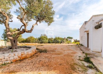 Foto 7 - Rustico Contrada Chianchizzo
 
snc, Ostuni - foto 7