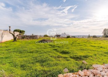 Foto 13 - Rustico Contrada Chianchizzo
 
snc, Ostuni - foto 13