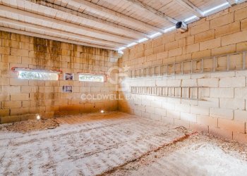 Foto 28 - Rustico Contrada Chianchizzo
 
snc, Ostuni - foto 28