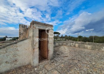 Foto 32 - Rustico Contrada Chianchizzo
 
snc, Ostuni - foto 32