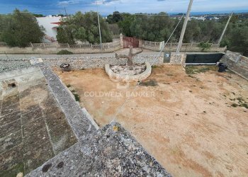 Foto 34 - Rustico Contrada Chianchizzo
 
snc, Ostuni - foto 34