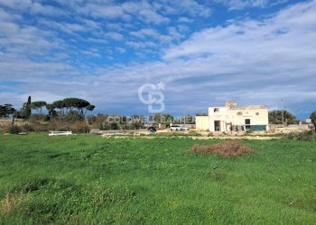 Foto 38 - Rustico Contrada Chianchizzo
 
snc, Ostuni - foto 38