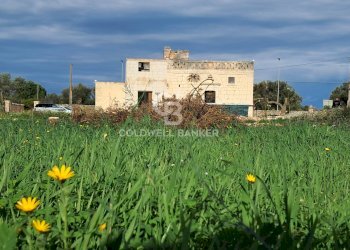 Foto 39 - Rustico Contrada Chianchizzo
 
snc, Ostuni - foto 39