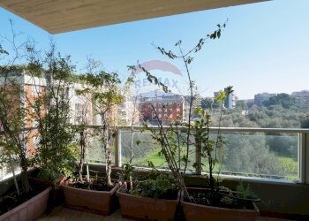 Balcone - Appartamento Orfeo Mazzitelli
 
47, Bari - foto 20