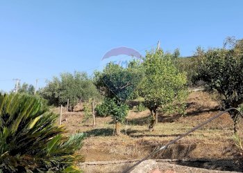 Giardino - Casa semi indipendente Contrada Rasalgone
 
snc, Piazza Armerina - foto 38