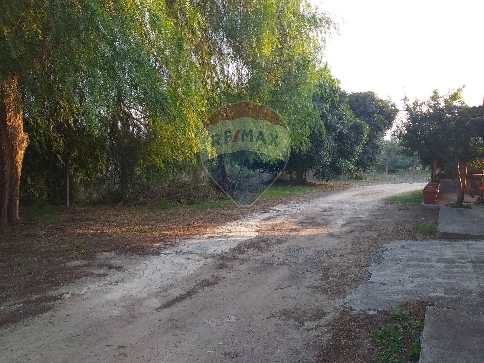 Giardino - Rustico Via Maniago s.p. 67
 
snc, Lentini - foto 3