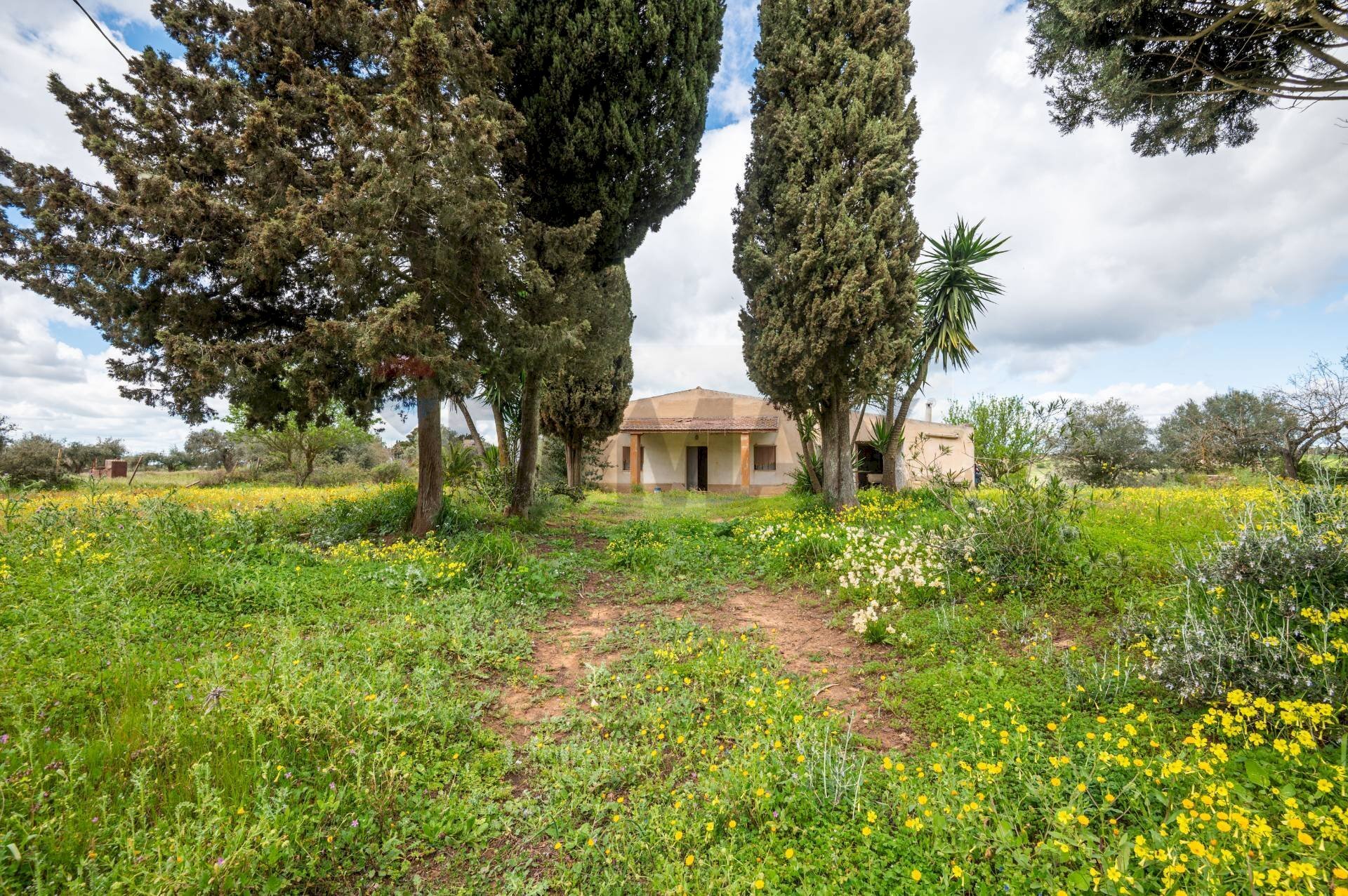 Giardino - Independent house strada provinciale 34, Caltagirone - photo 1