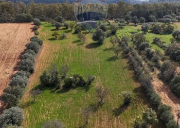 Foto 20 - Casa indipendente strada provinciale 34, Caltagirone - foto 19