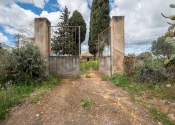 Giardino - Casa indipendente strada provinciale 34, Caltagirone - foto 28