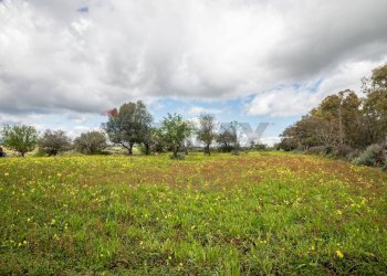Giardino - Casa indipendente strada provinciale 34, Caltagirone - foto 30