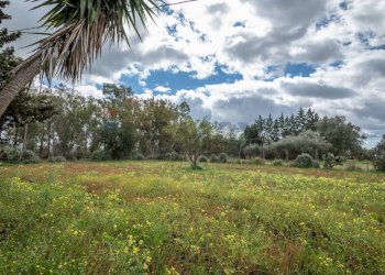 Giardino - Casa indipendente strada provinciale 34, Caltagirone - foto 32