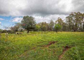 Giardino - Casa indipendente strada provinciale 34, Caltagirone - foto 33