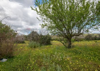 Giardino - Casa indipendente strada provinciale 34, Caltagirone - foto 34
