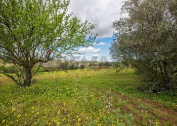 Giardino - Casa indipendente strada provinciale 34, Caltagirone - foto 35