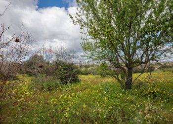 Giardino - Casa indipendente strada provinciale 34, Caltagirone - foto 36
