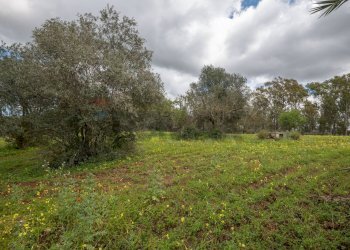 Giardino - Casa indipendente strada provinciale 34, Caltagirone - foto 37