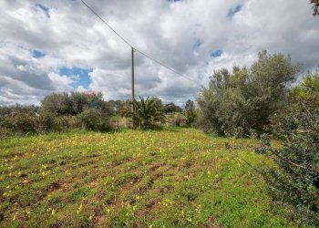 Giardino - Casa indipendente strada provinciale 34, Caltagirone - foto 42