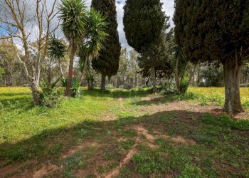 Giardino - Casa indipendente strada provinciale 34, Caltagirone - foto 45