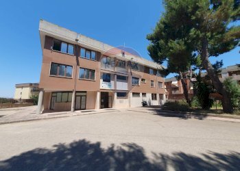 Edificio all\'aperto - Stable - Palace Piazza Giulio Cesare, Valenzano - photo 3