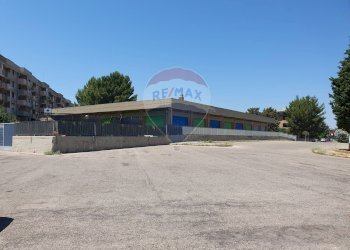 Casa all\'aperto - Stable - Palace Piazza Giulio Cesare, Valenzano - photo 11