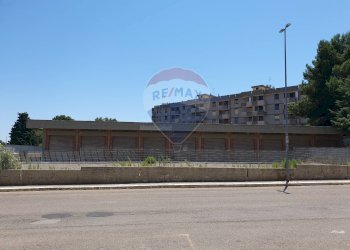 Edificio all\'aperto - Stable - Palace Piazza Giulio Cesare, Valenzano - photo 14
