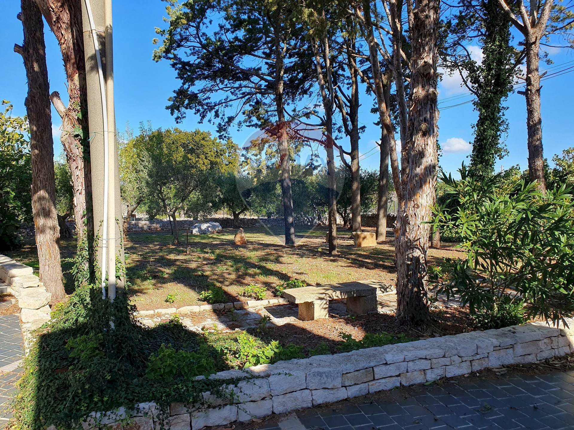 Giardino - Baita Strada Monte Tre Carlini, Martina Franca - foto 2