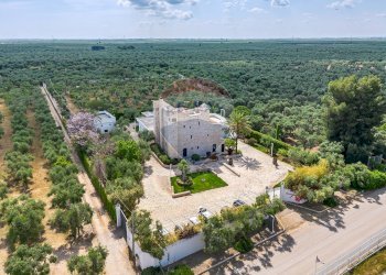 Vista dell\'acqua - Stabile - Palazzo Str. Prov. 107 Giovinazzo, Giovinazzo - foto 7