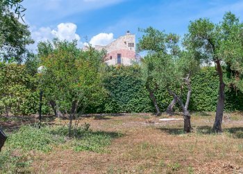 Giardino - Stabile - Palazzo Str. Prov. 107 Giovinazzo, Giovinazzo - foto 27