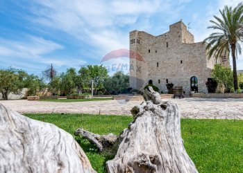 Casa all\'aperto - Stabile - Palazzo Str. Prov. 107 Giovinazzo, Giovinazzo - foto 44