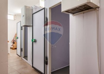 Hall / corridoio - Stabile - Palazzo Str. Prov. 107 Giovinazzo, Giovinazzo - foto 53