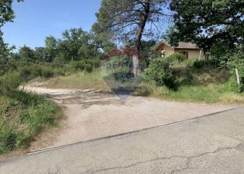 Giardino - Terreno edificabile Loro Ciuffenna - foto 2