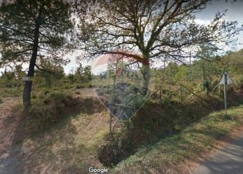 Giardino - Terreno edificabile Loro Ciuffenna - foto 12