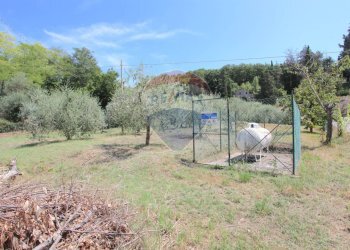 Giardino - Casa semi indipendente Via Rocca Sant'Angelo
 
46, Assisi - foto 42