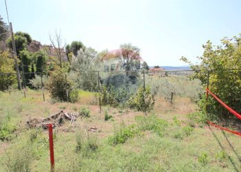 Giardino - Casa semi indipendente Via Rocca Sant'Angelo
 
46, Assisi - foto 44