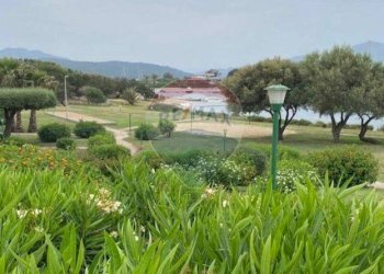 Giardino - Bilocale Olbia - foto 11