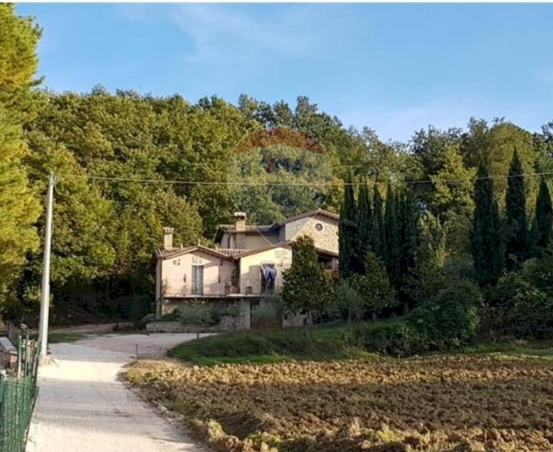 Giardino - Villa Via Della Ripa, Gubbio - foto 1